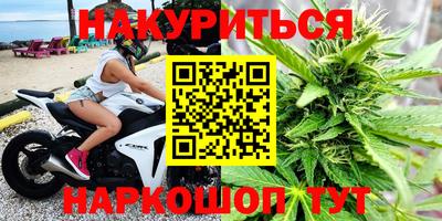 PSILOCYBIN Нальчик