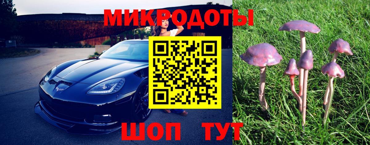 Псилоцибиновые грибы MAGIC MUSHROOMS Россошь