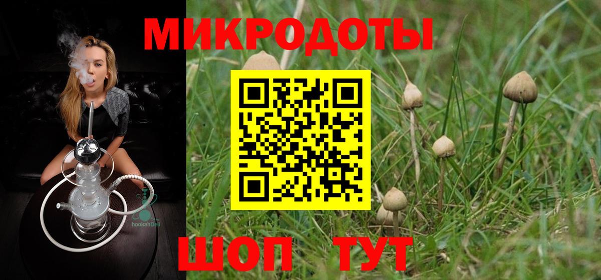 Россошь  Галлюциногенные грибы Psilocybe  цена   Вход с VPN 